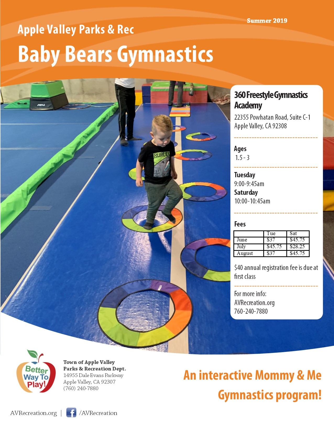 Baby Bears Gymnastics