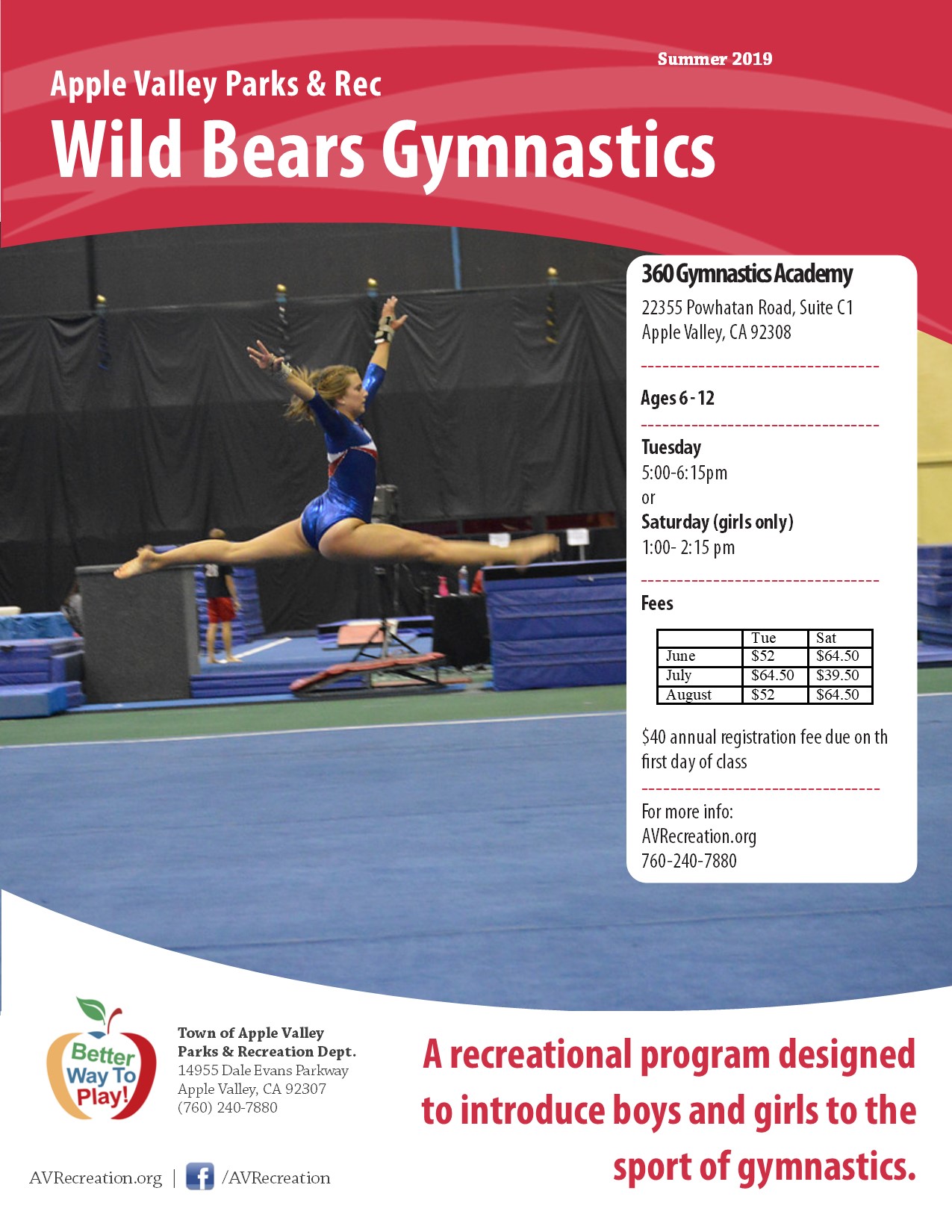 Wild Bears Gymnastics