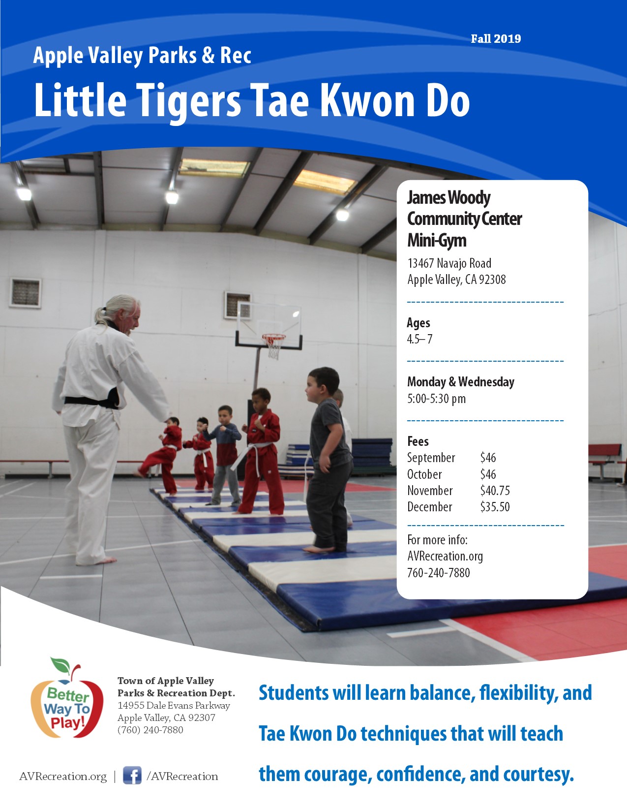 Little TIger Tae Kwon Do