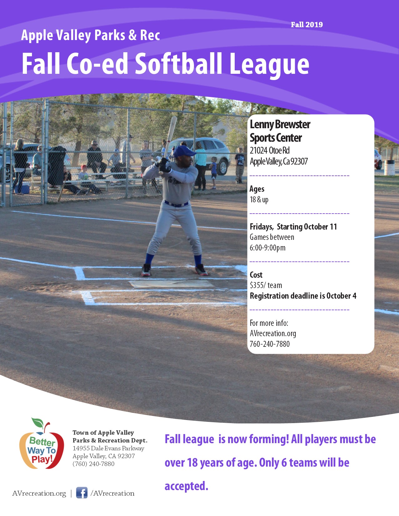 Fall Coed Softball