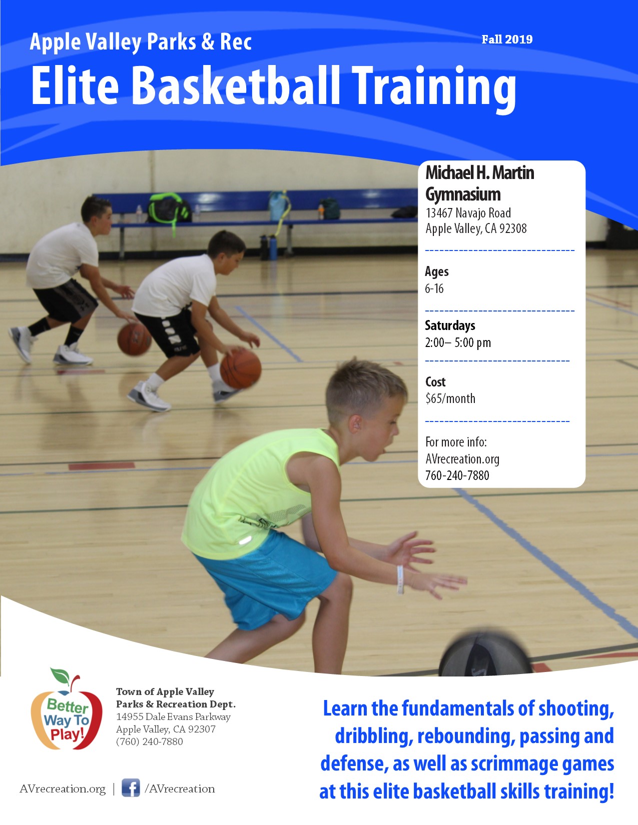 Elite Basketball Training