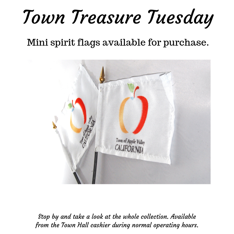 Town Treasures Flags