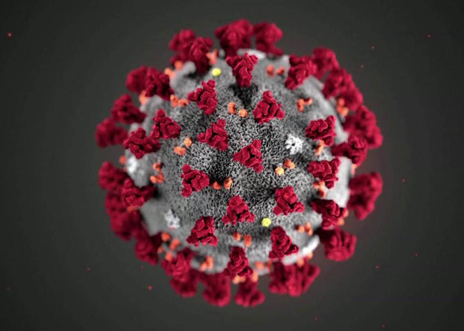 Coronavirus