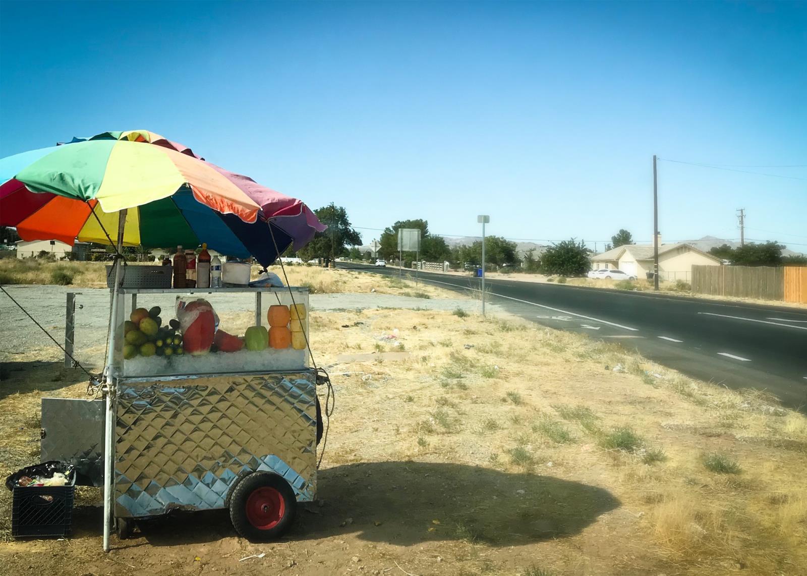 Sidewalk vendor