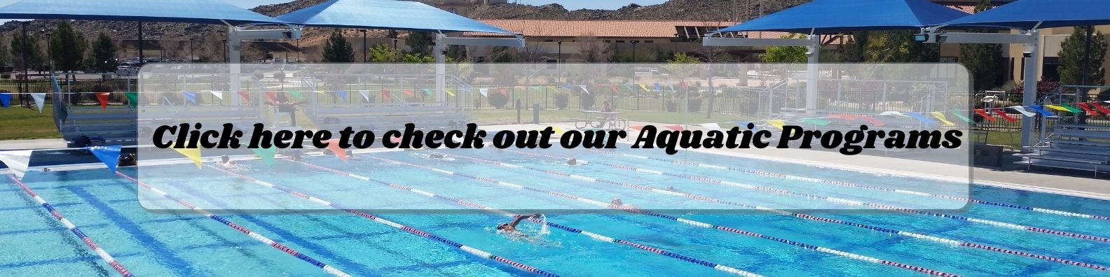 Click here to check out our Aquatic Programs