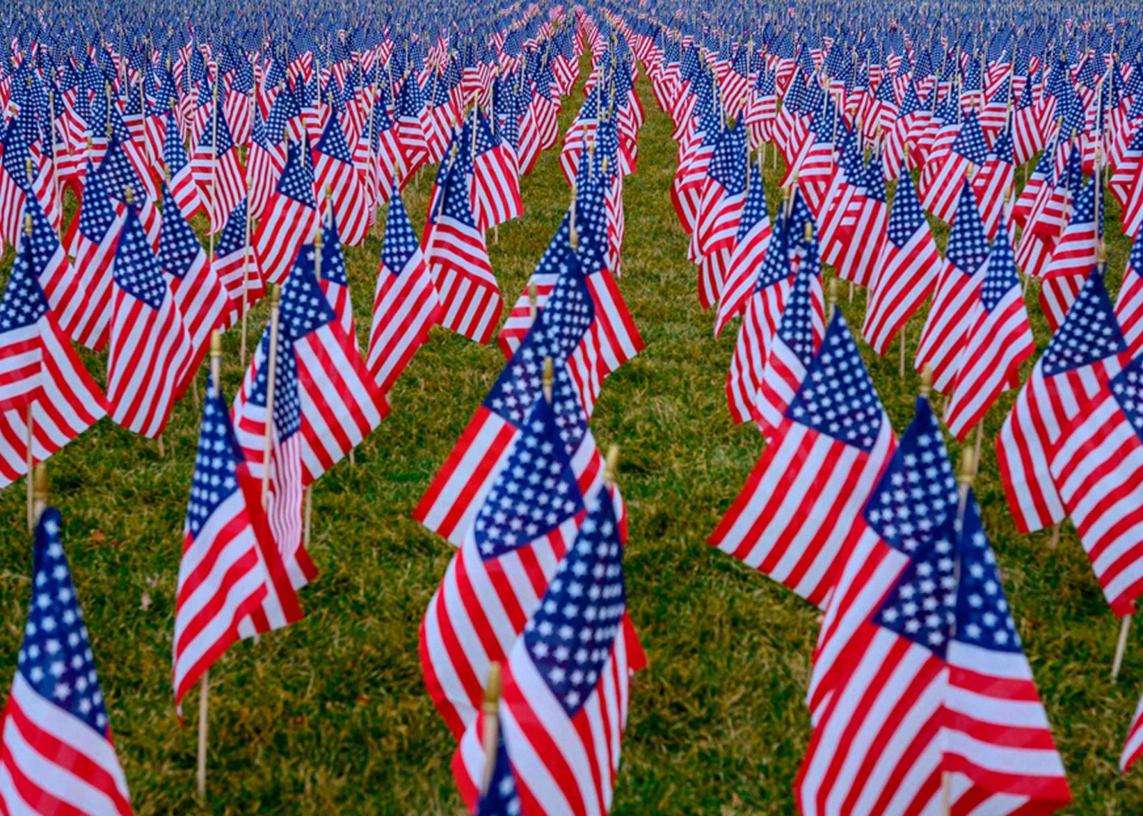 Memorial Day Flags