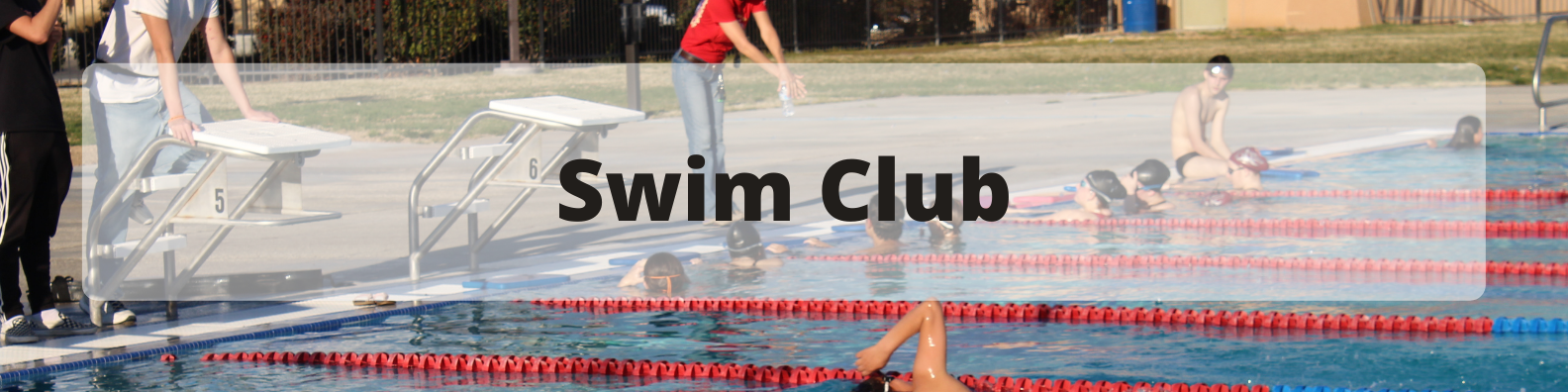 Swim Club