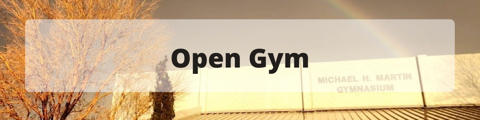 Open Gym