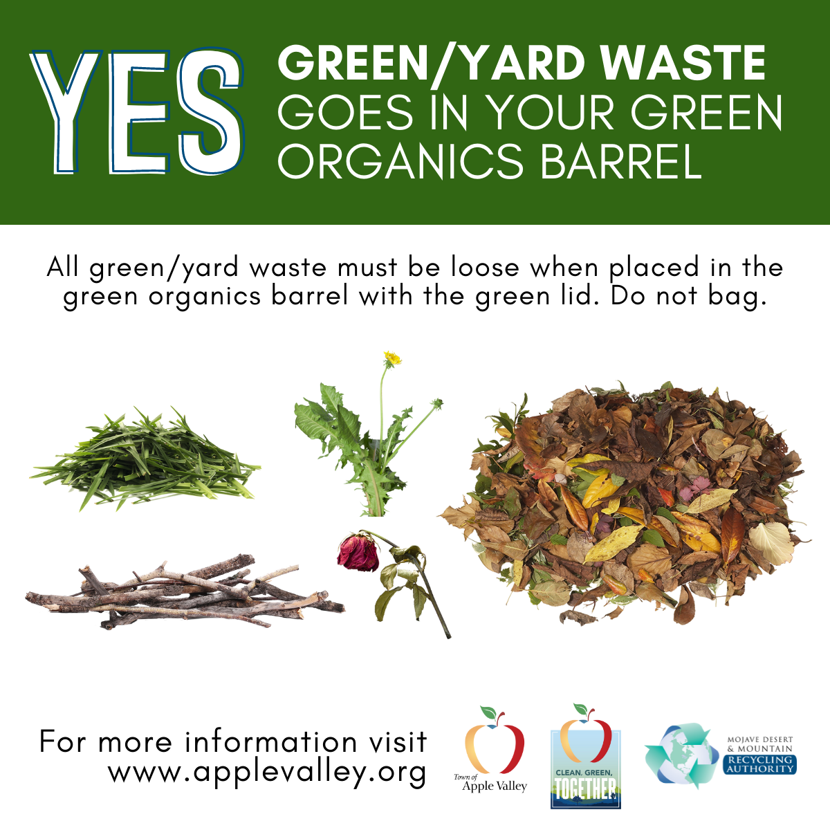 What goes in_ Yard Waste