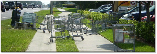 Shopping Cart 2