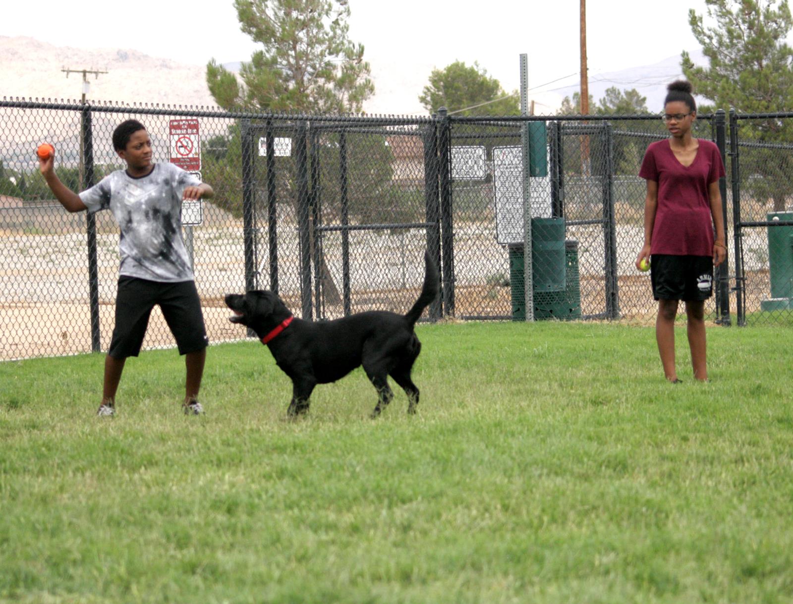 Jolly Family at Dog Park