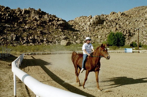 Horsemen's Arena