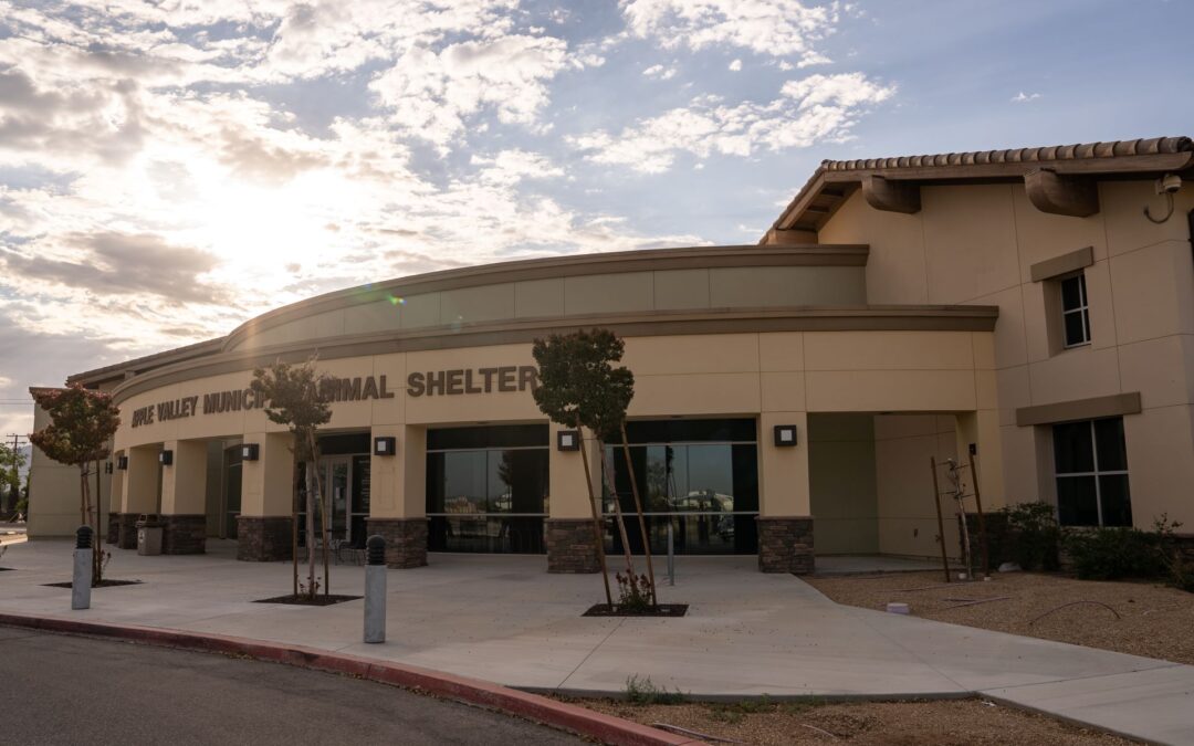 Apple Valley Animal Shelter Joins BISSELL Pet Foundation’s “Empty the Shelters” Event Following Distemper Closure