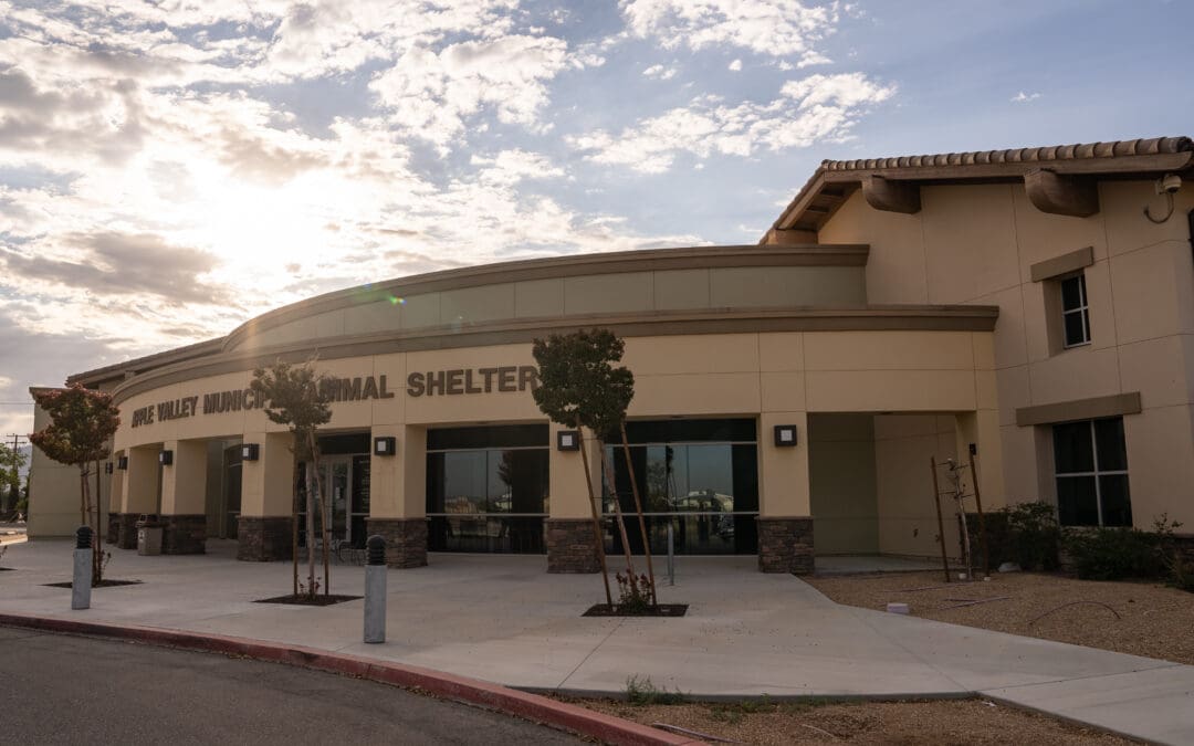 Town of Apple Valley Animal Services – Managed Admission System